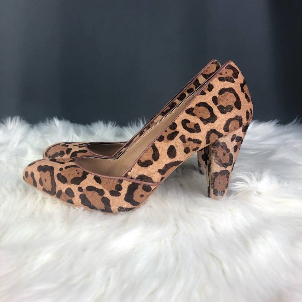 Steve Madden Leopard Print. Size 8.5 - image 1
